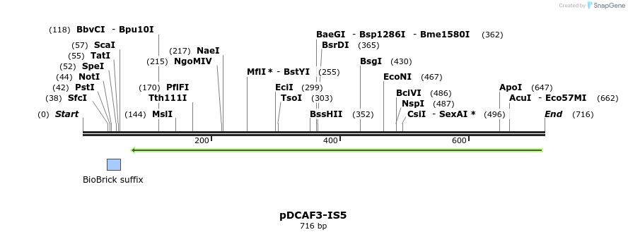 130590_map