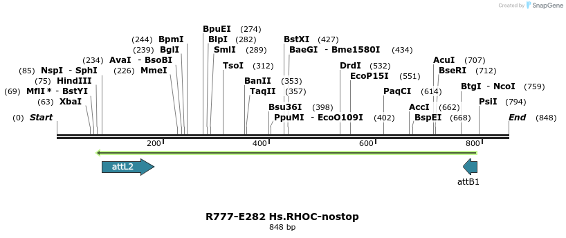 130591_map