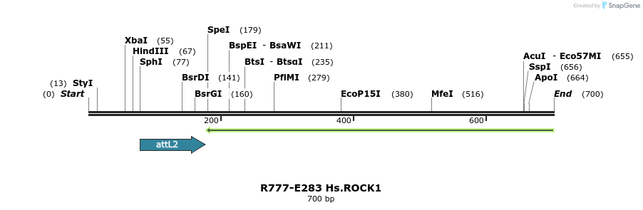 130592_map