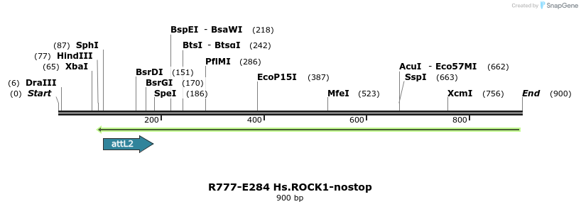 130593_map
