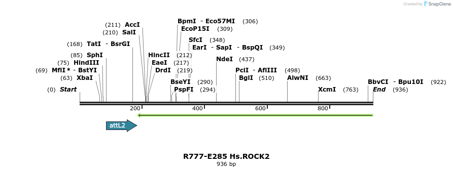 130594_map