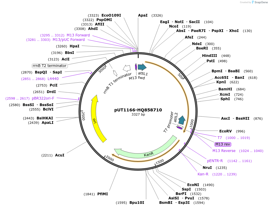 13060_map