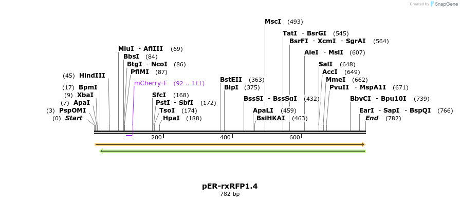 130606_map