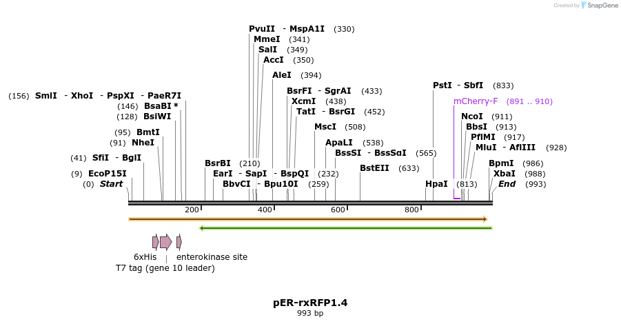 130607_map