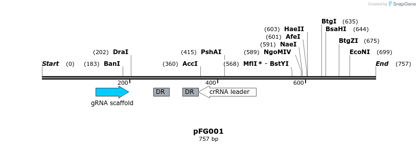 130608_map