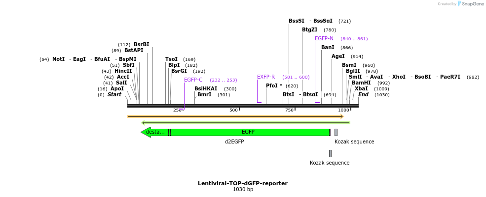 130620_map