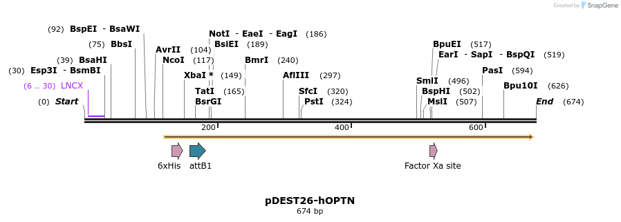 130666_map