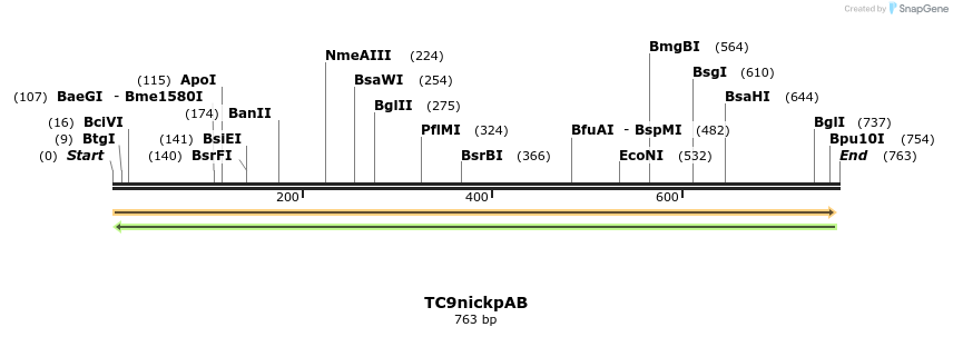 130673_map