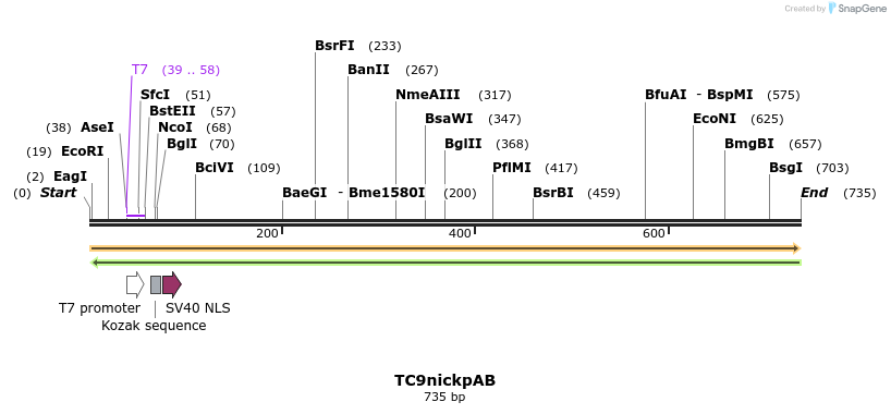 130674_map