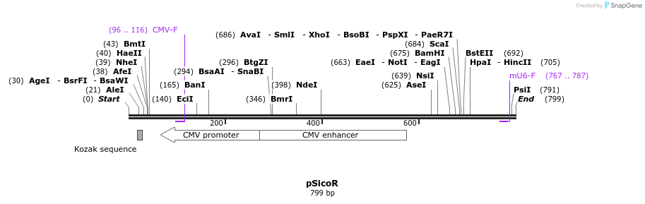 130675_map