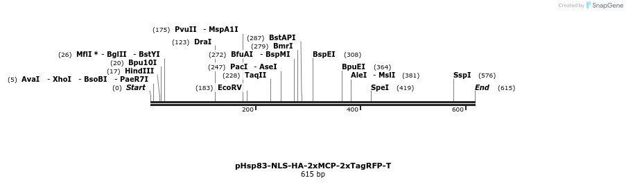 130677_map