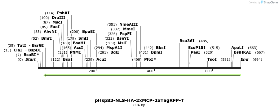 130680_map