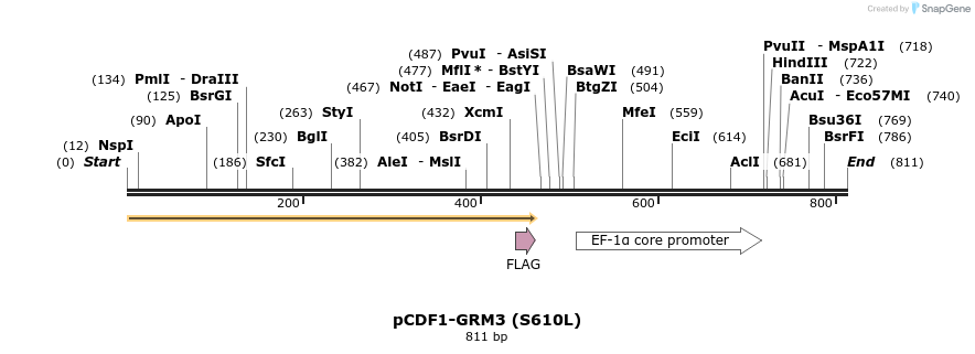 130682_map