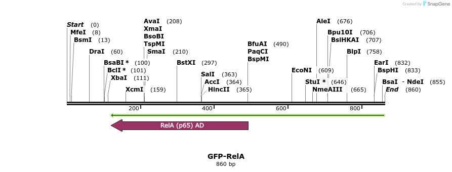130688_map
