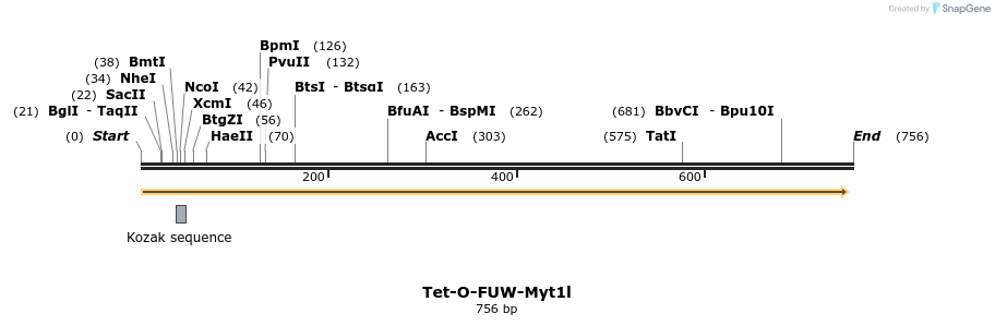 130694_map