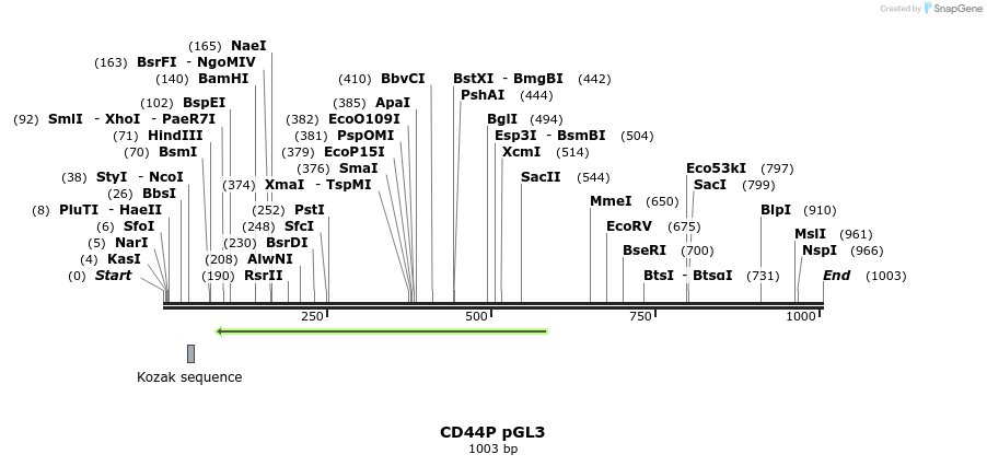 130701_map