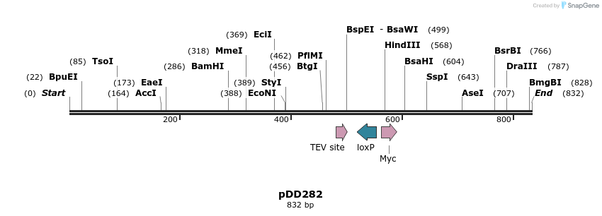 130705_map