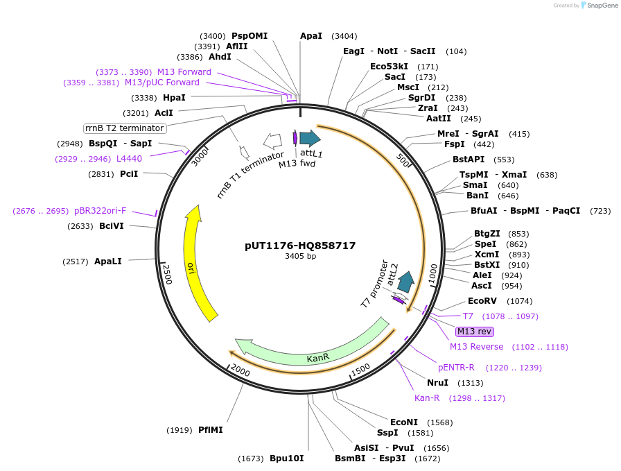 13071_map