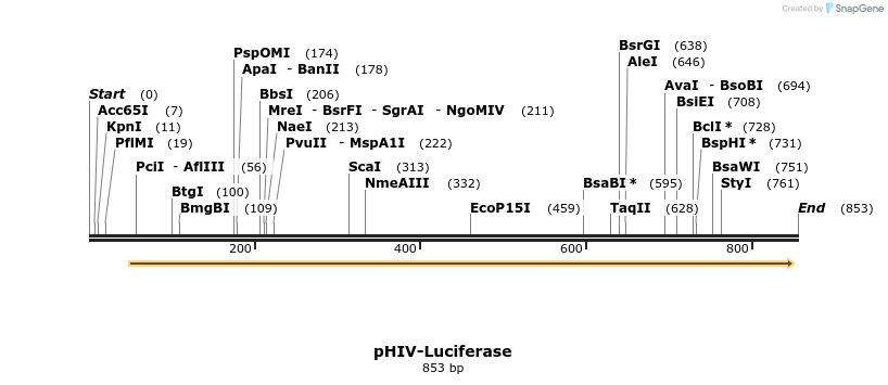 130710_map