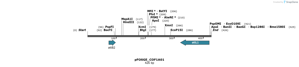 130713_map
