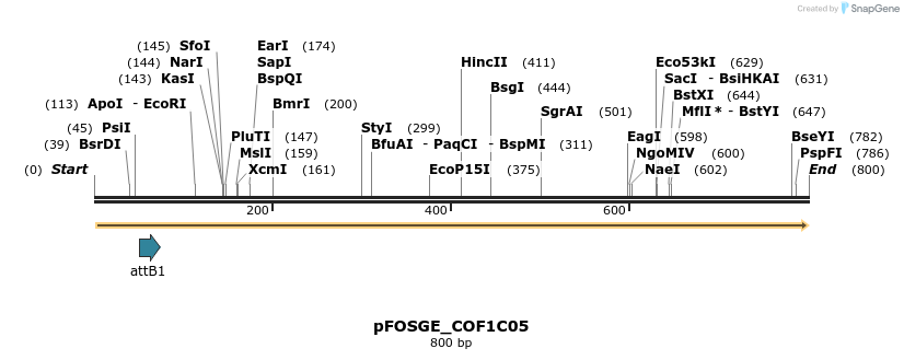 130719_map