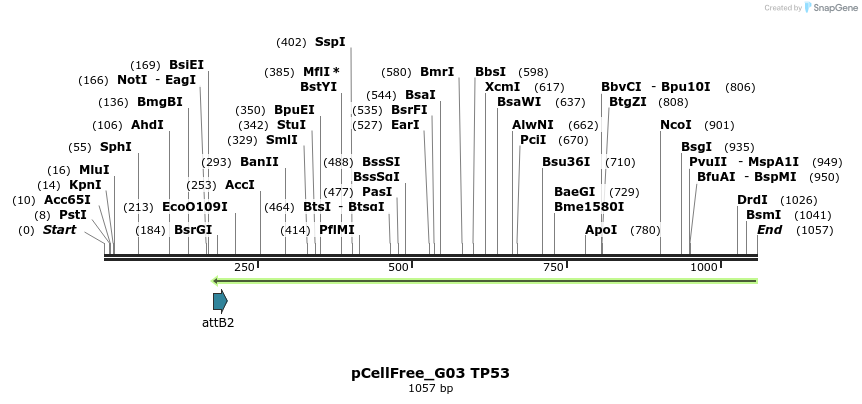 130720_map