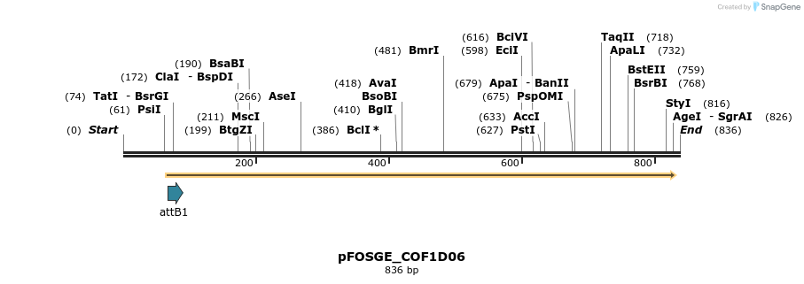 130721_map