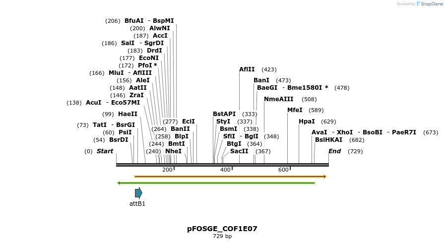130723_map