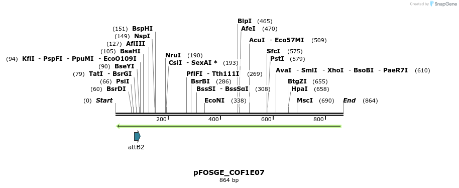130724_map