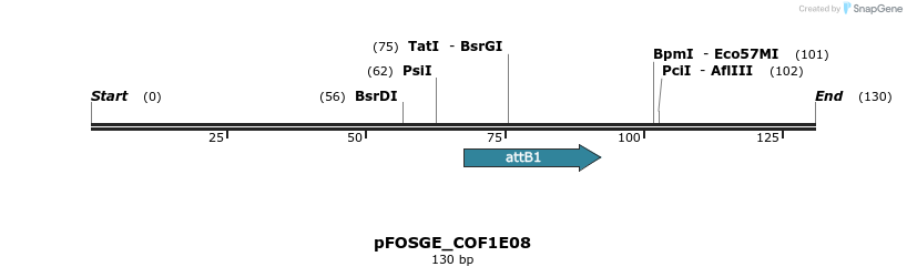 130725_map