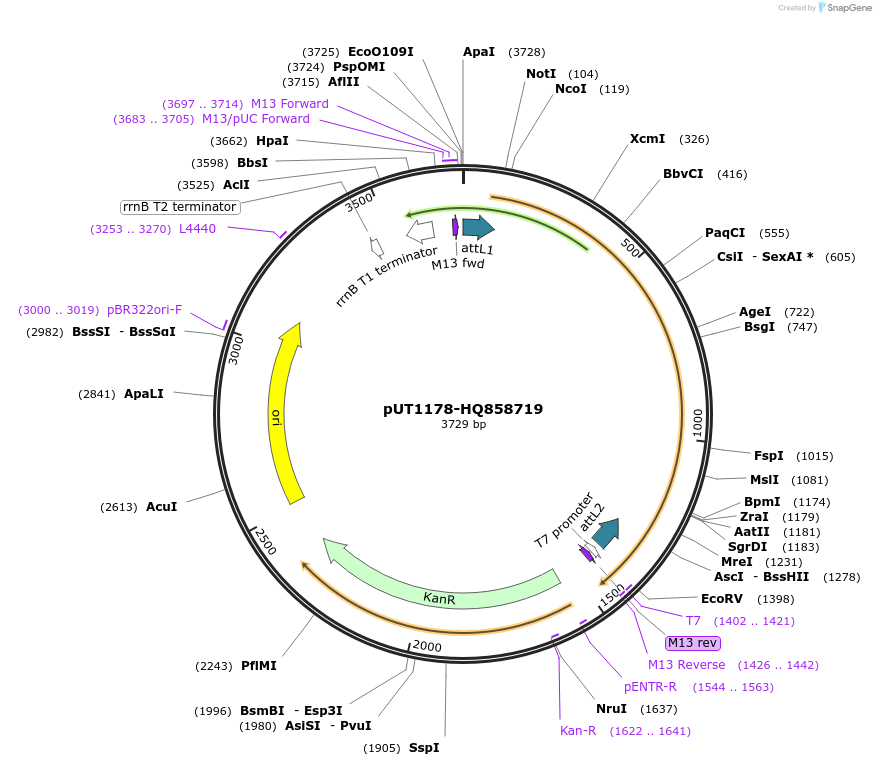 13073_map