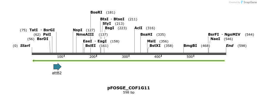 130732_map