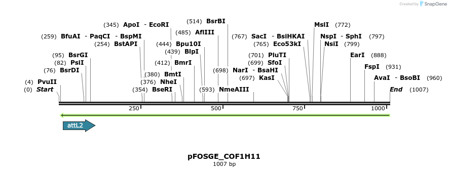 130733_map
