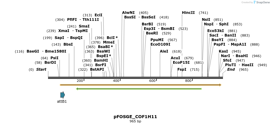 130734_map