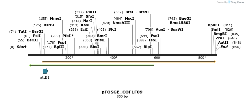 130735_map