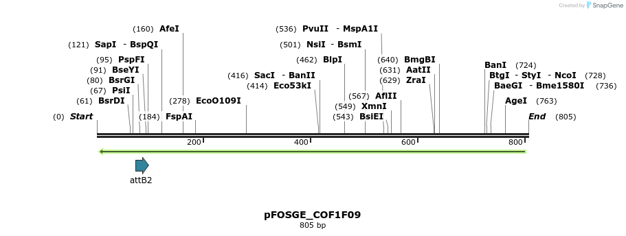130736_map