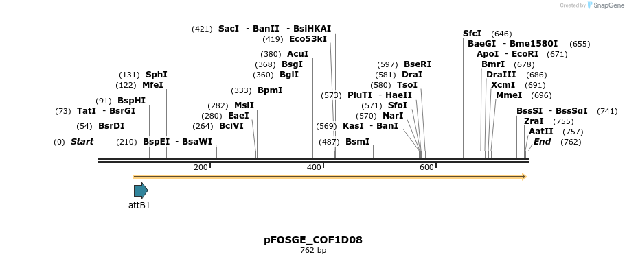130737_map