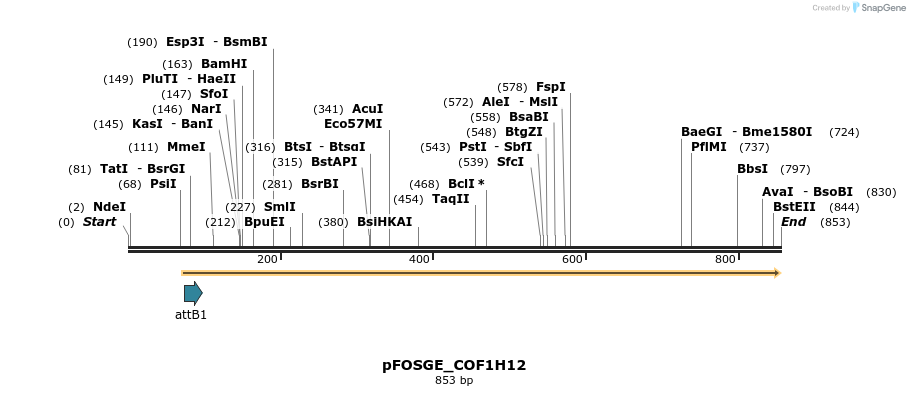 130738_map