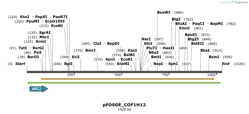 130739_map