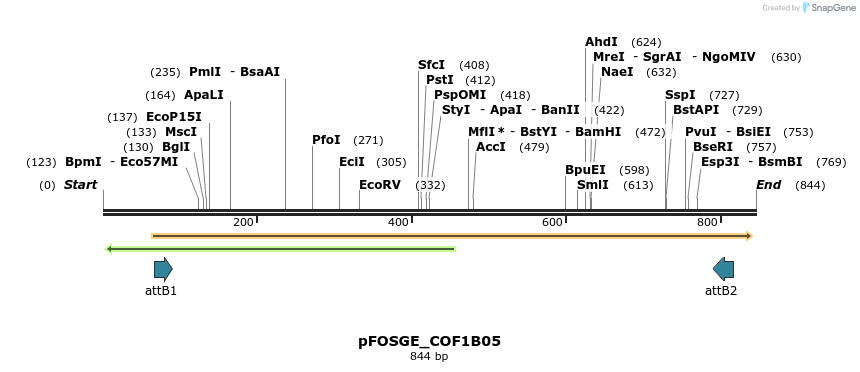 130742_map