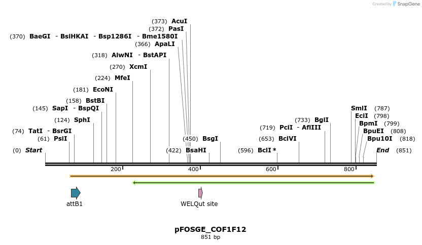 130750_map