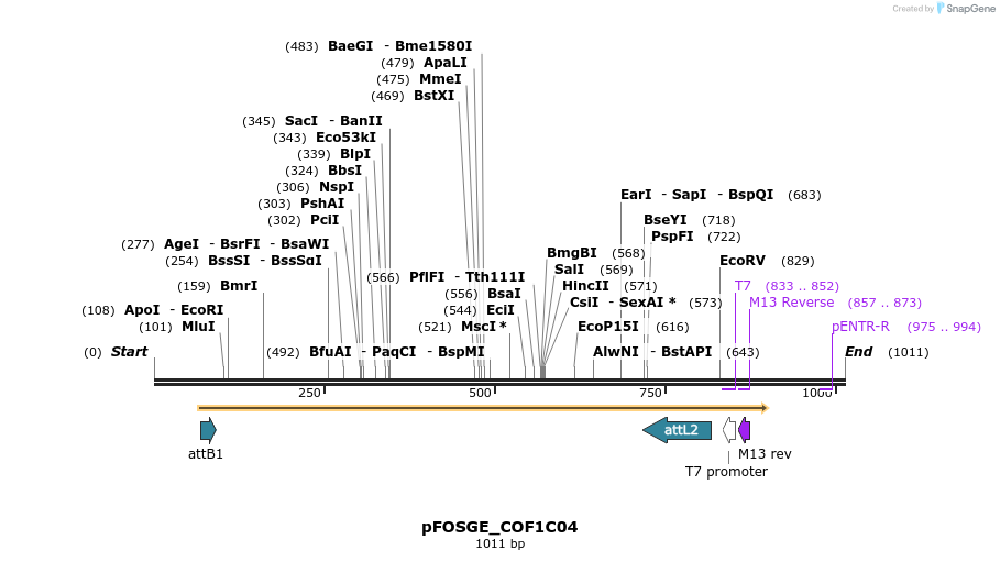 130751_map