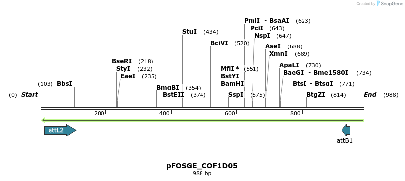 130755_map