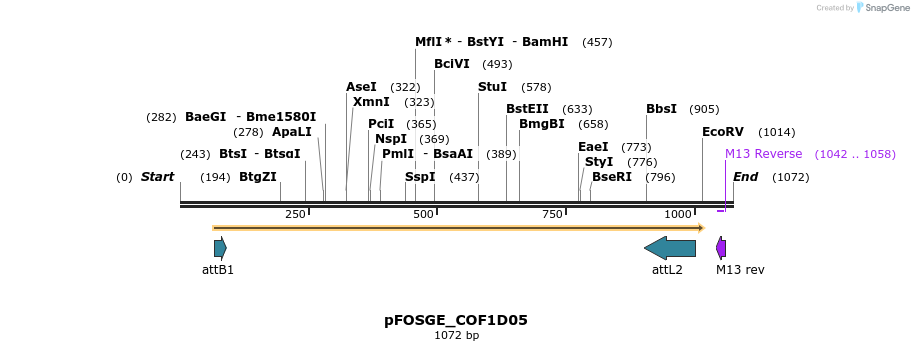 130756_map