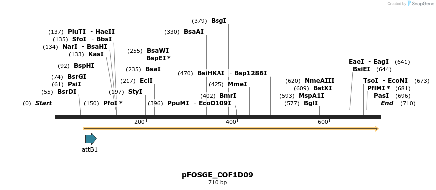 130758_map