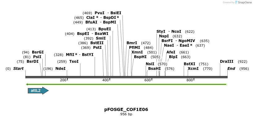 130760_map