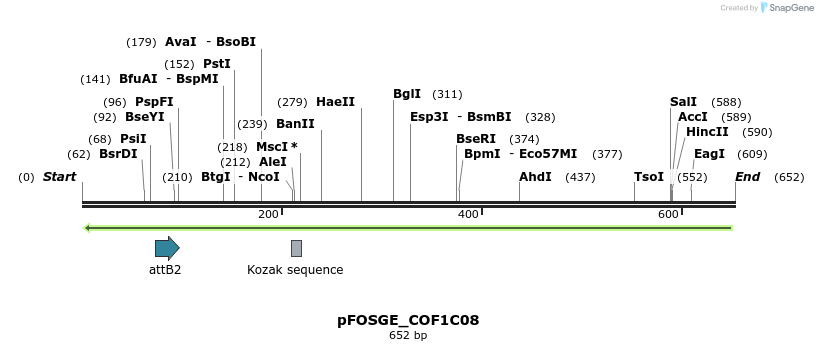 130762_map