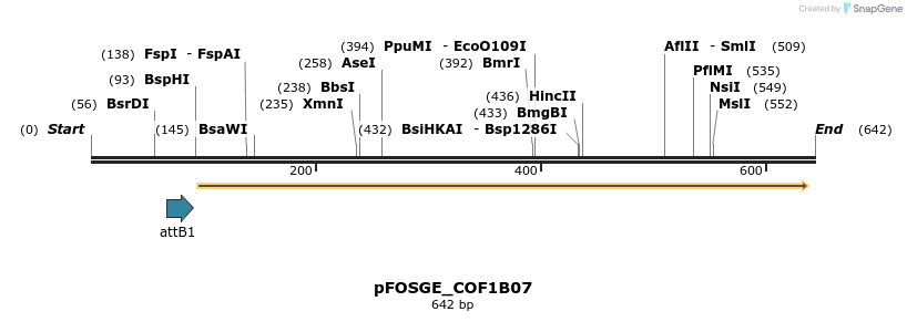 130763_map