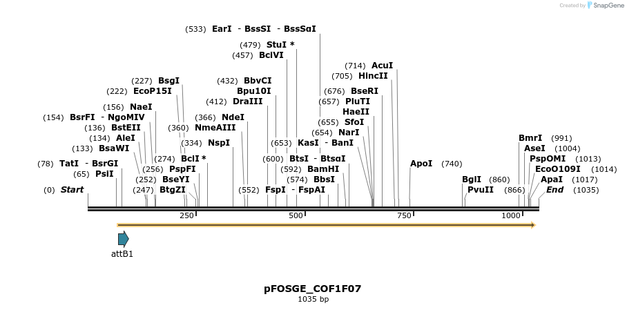 130764_map
