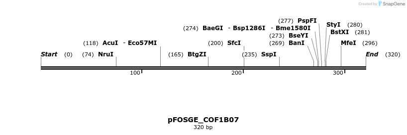 130767_map